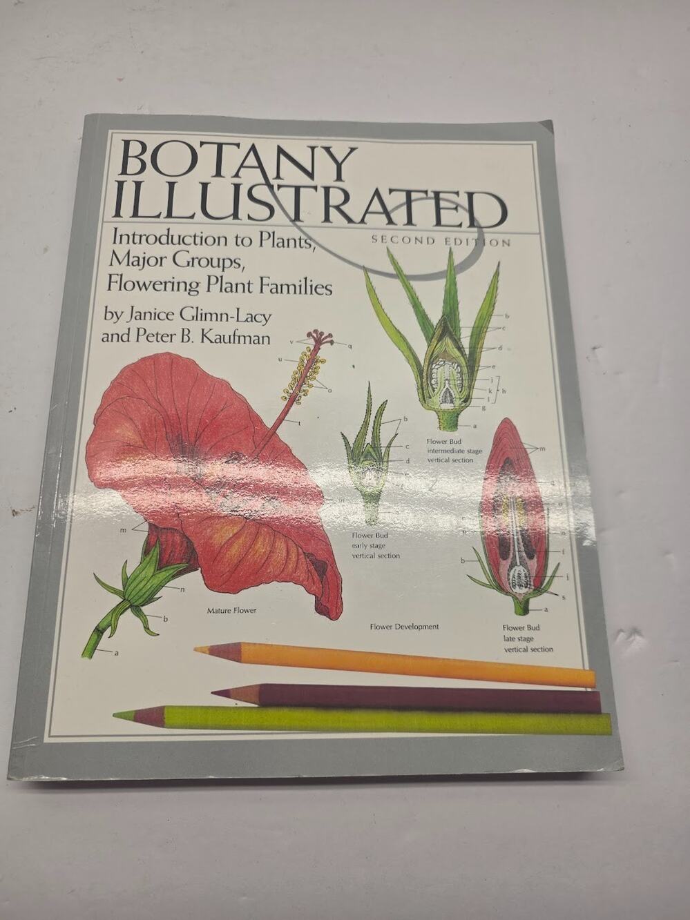 Botany Illustrated: Introduction to Plants, Major Groups, Flowering Plant Fa...
